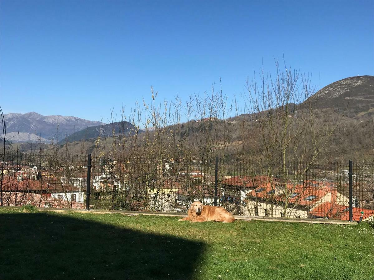 Apartamento Cangas Relax Cangas de Onis Exterior photo
